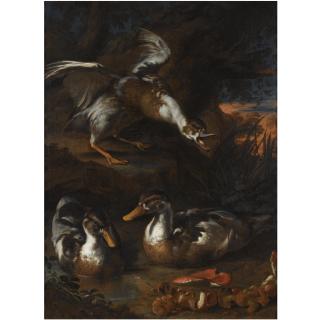 Angelo Maria Rossi - Three Ducks In A Wooded Landscape, Wild Mushrooms In The Foreground