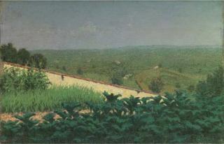 Angelo Morbelli - Zucche nell\'orto