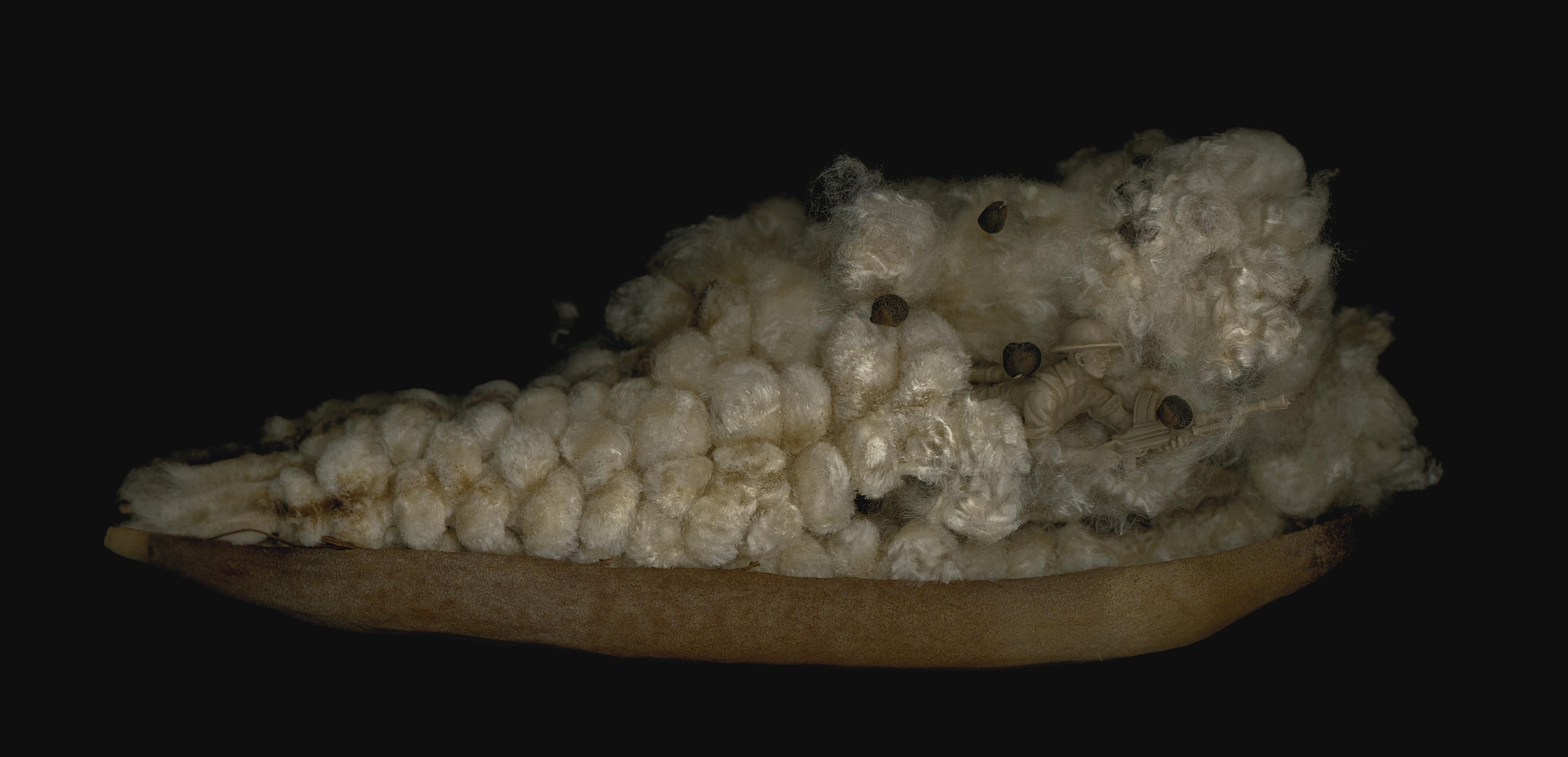 Angki Purbandono - Kapok Savior