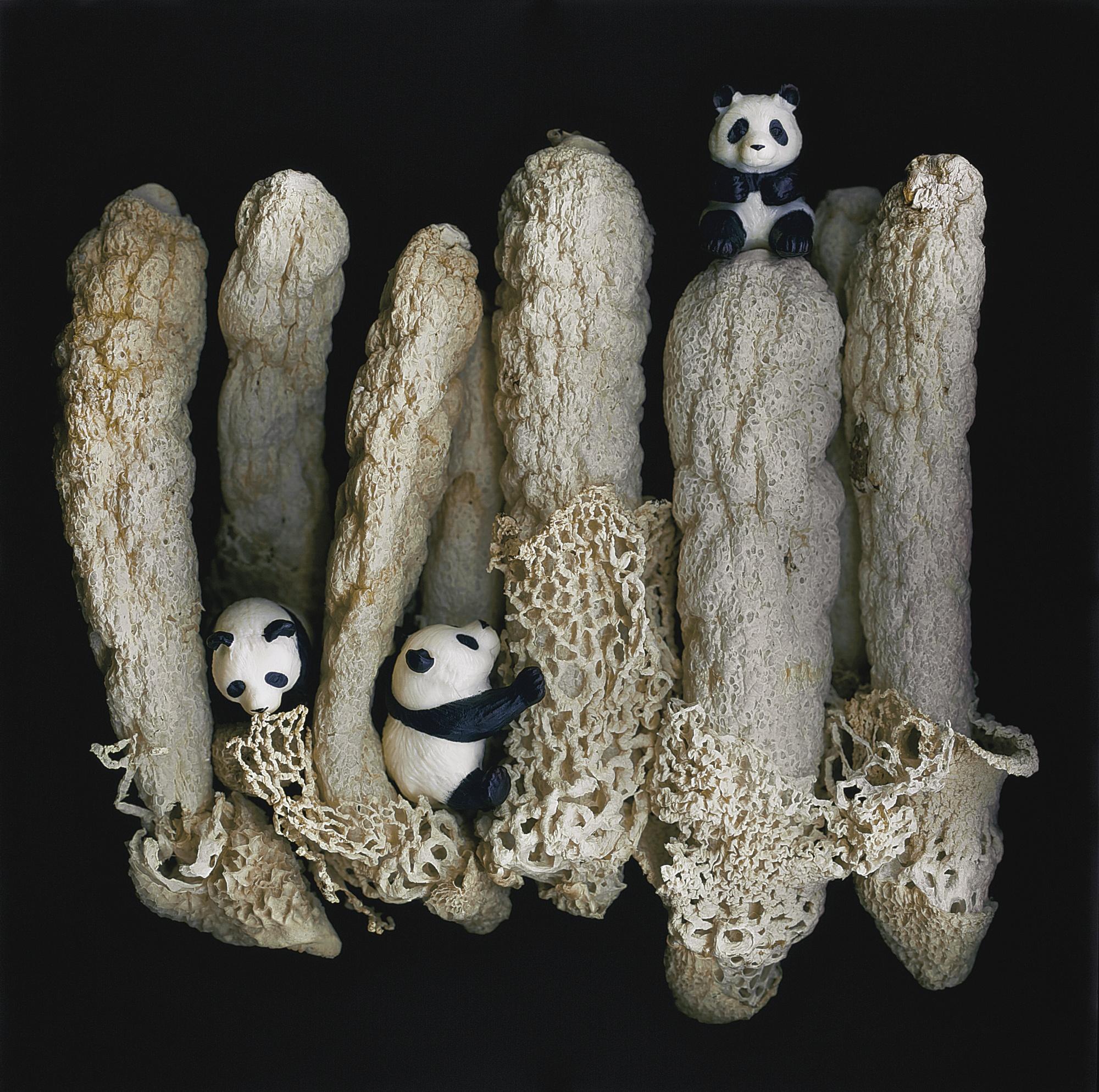 Angki Purbandono - Panda Garden