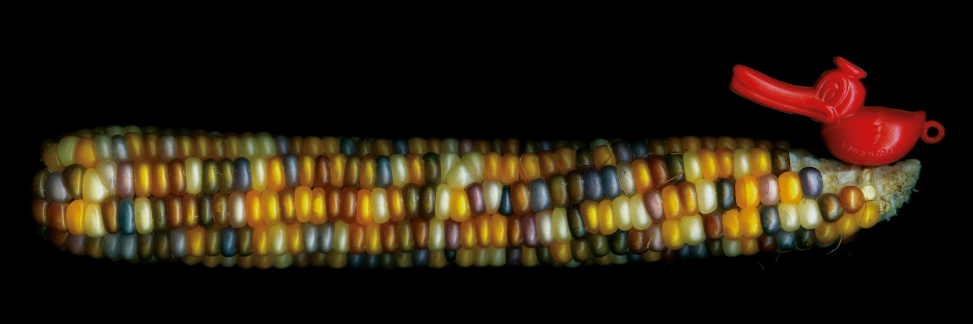 Angki Purbandono - Waiting for His Master