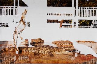 Angus Fairhurst - Crocodile Wrestling (All Evidence Of Man Removed)