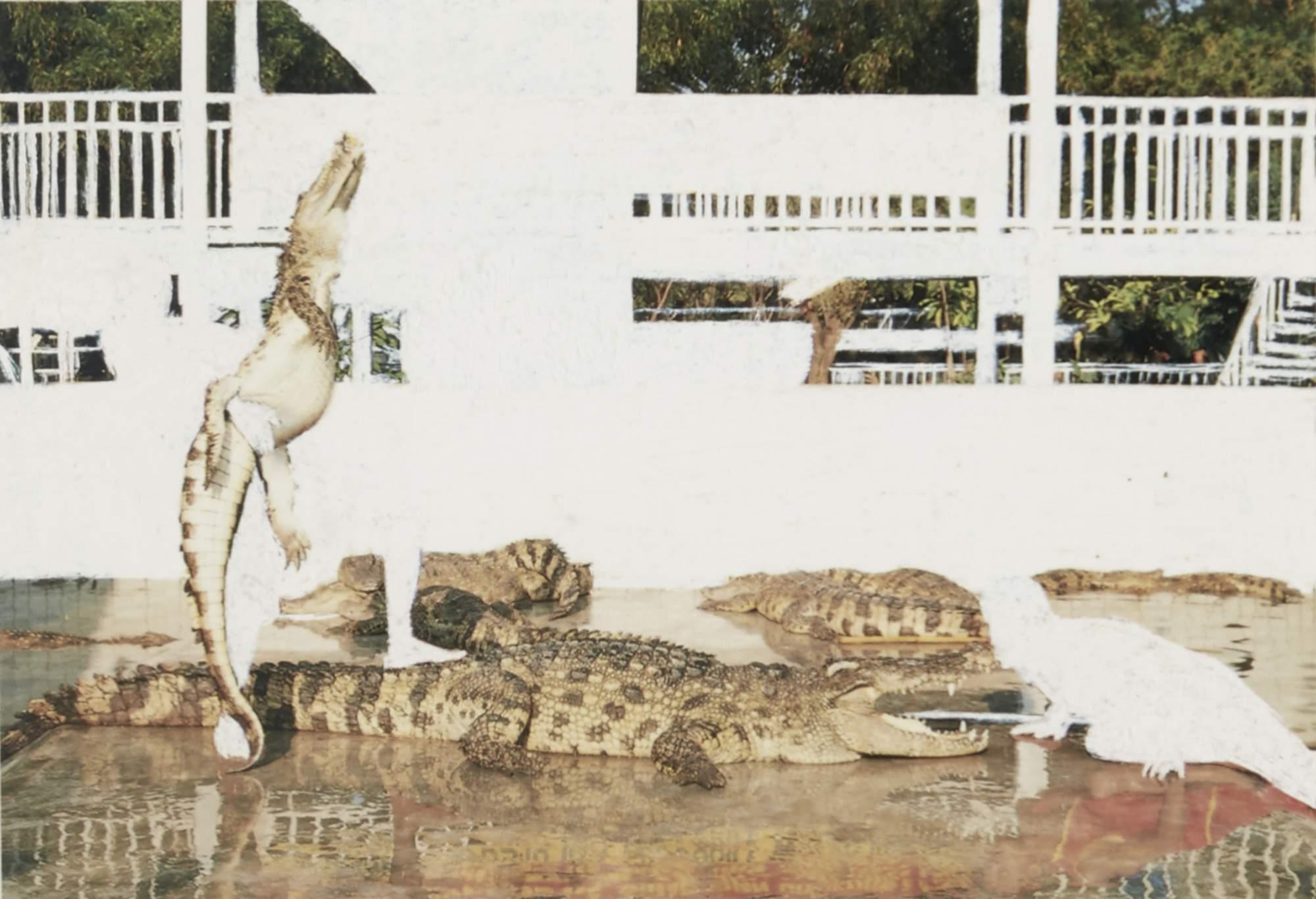 Angus Fairhurst - Crocodile Wrestling (Evidence Of Man Removed)