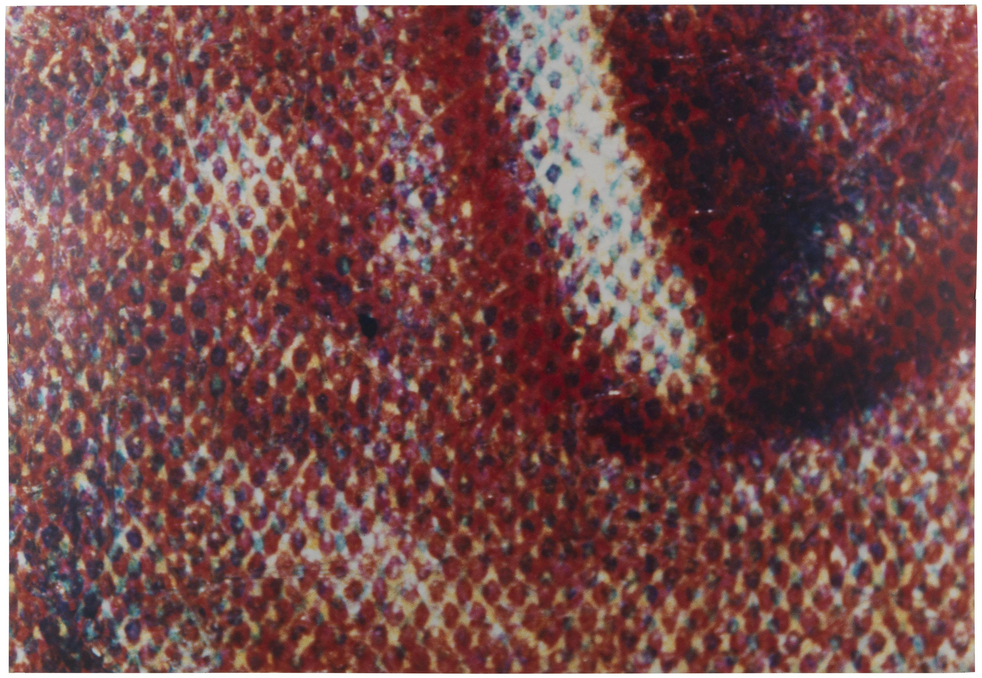 Angus Fairhurst - Mostly Smiling, No. 1