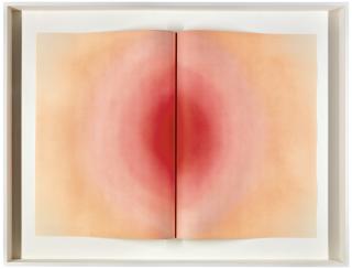 Anish Kapoor, R.A. - Fold, I