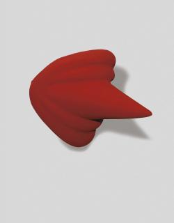 Anish Kapoor - From 1000 Names