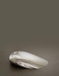 Anish Kapoor - Implant