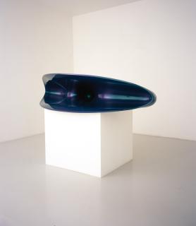 Anish Kapoor - In Out