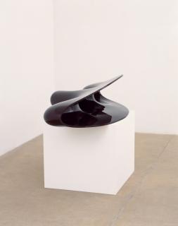 Anish Kapoor - In Out