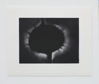 Anish Kapoor - Omo