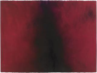 Anish Kapoor - Senza Titolo