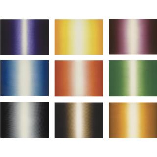 Anish Kapoor - Shadow