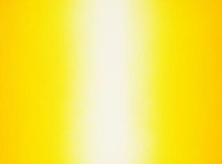 Anish Kapoor - Shadow