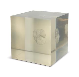 Anish Kapoor - Space As An Object