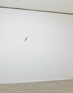 Anish Kapoor - The Healing Of St. Thomas