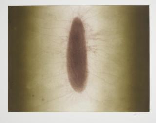 Anish Kapoor - Untitled 2, From 12 Etchings