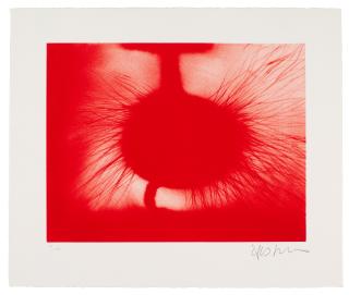 Anish Kapoor - Untitled