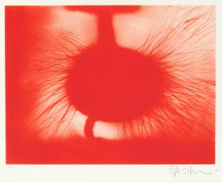 Anish Kapoor - Untitled