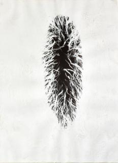 Anish Kapoor - Untitled