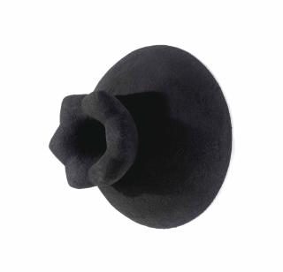 Anish Kapoor - Untitled