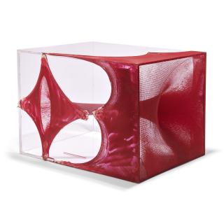 Anish Kapoor - Untitled