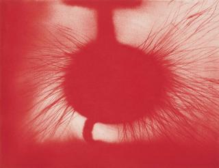 Anish Kapoor - Untitled