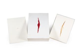 Anish Kapoor - Wound (in four parts)