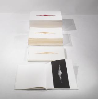 Anish Kapoor - Wound