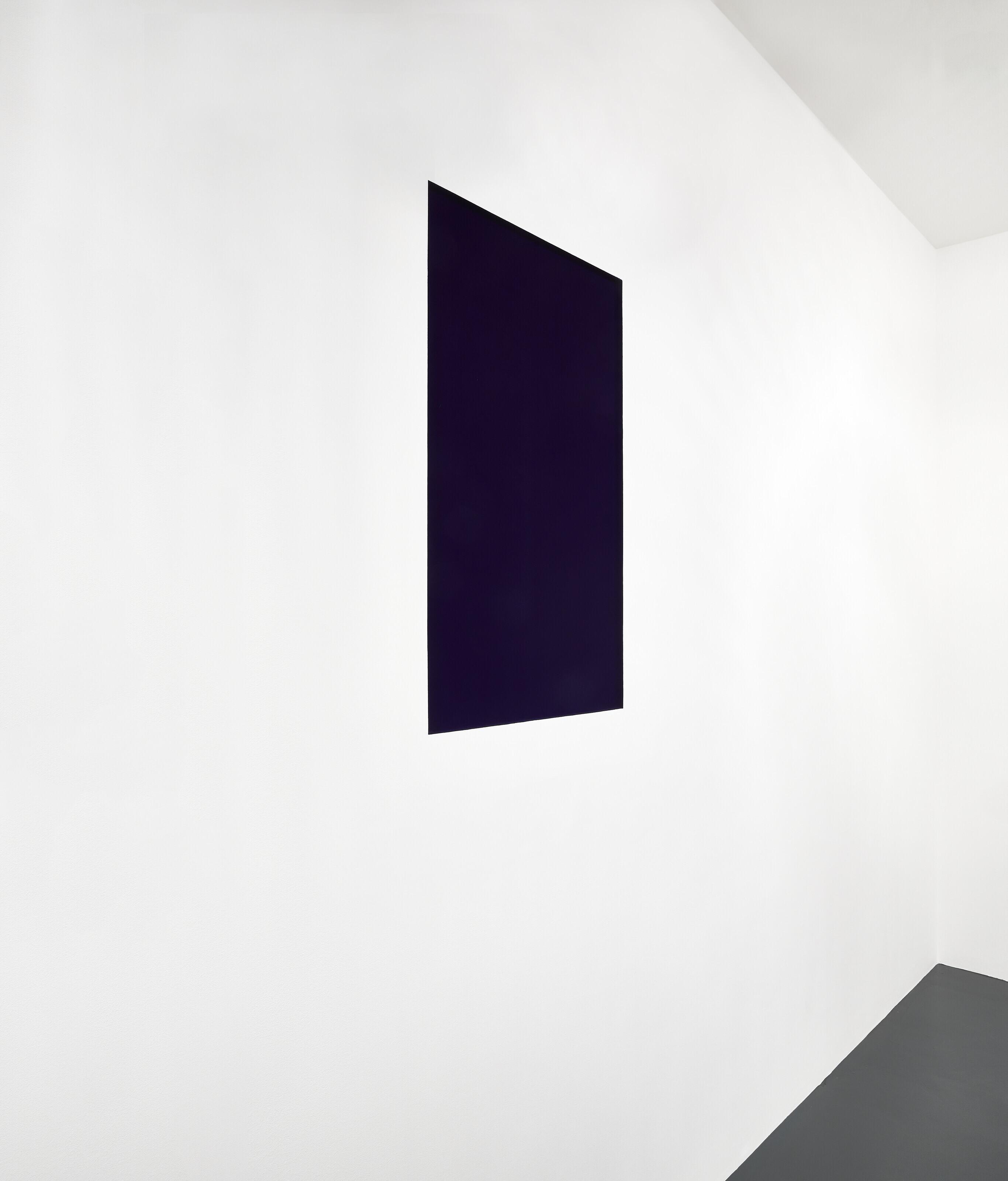 Anish Kapoor - Wounds and Absent Objects