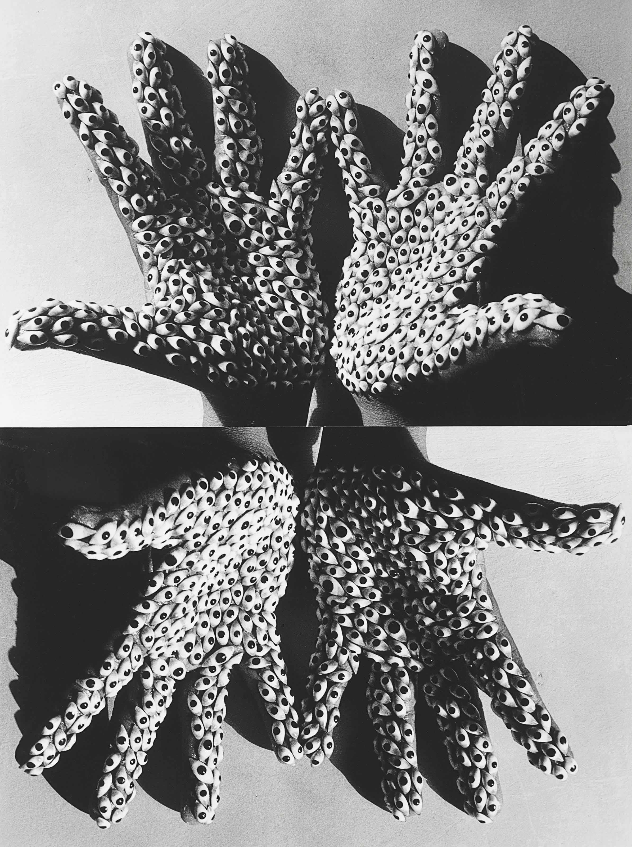 Anita Dube - Sea Creature