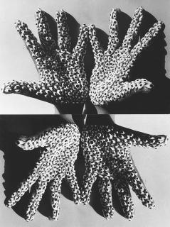 Anita Dube - Sea Creature