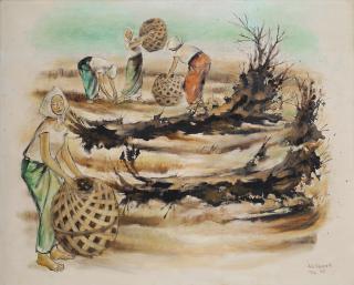 Anita Magsaysay - Ho - Harvesting