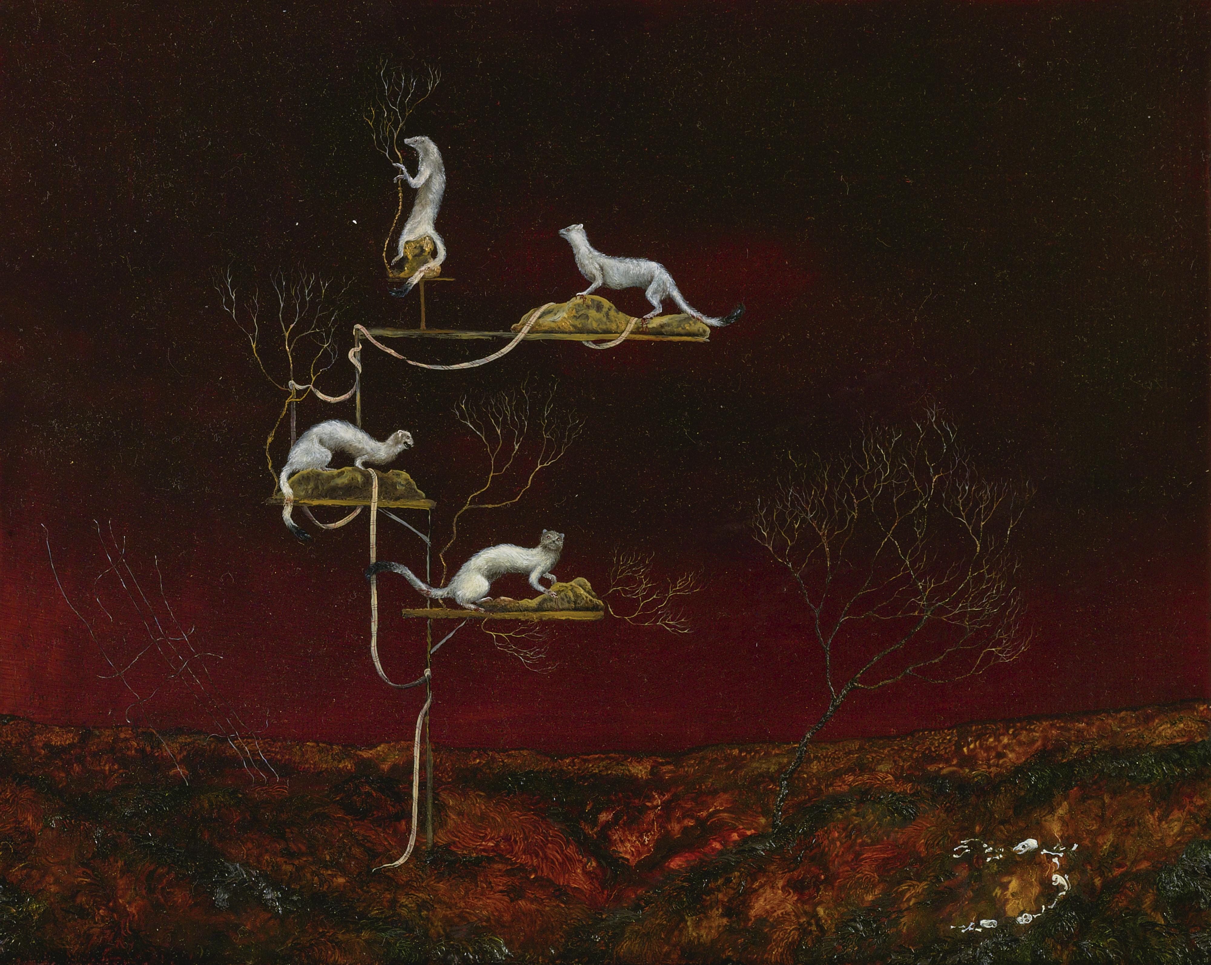 Anj Smith - Ultra-Ology