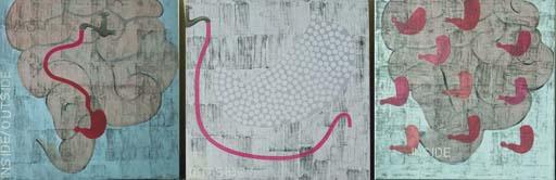 Anjum Singh - Inside/Outside/Inside