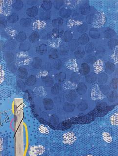 Anjum Singh - The View