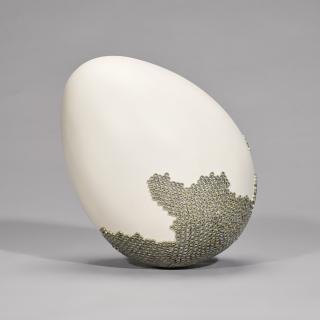 Anjum Singh - Variable