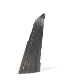 Ann Christopher R.A. - Shadow of Light