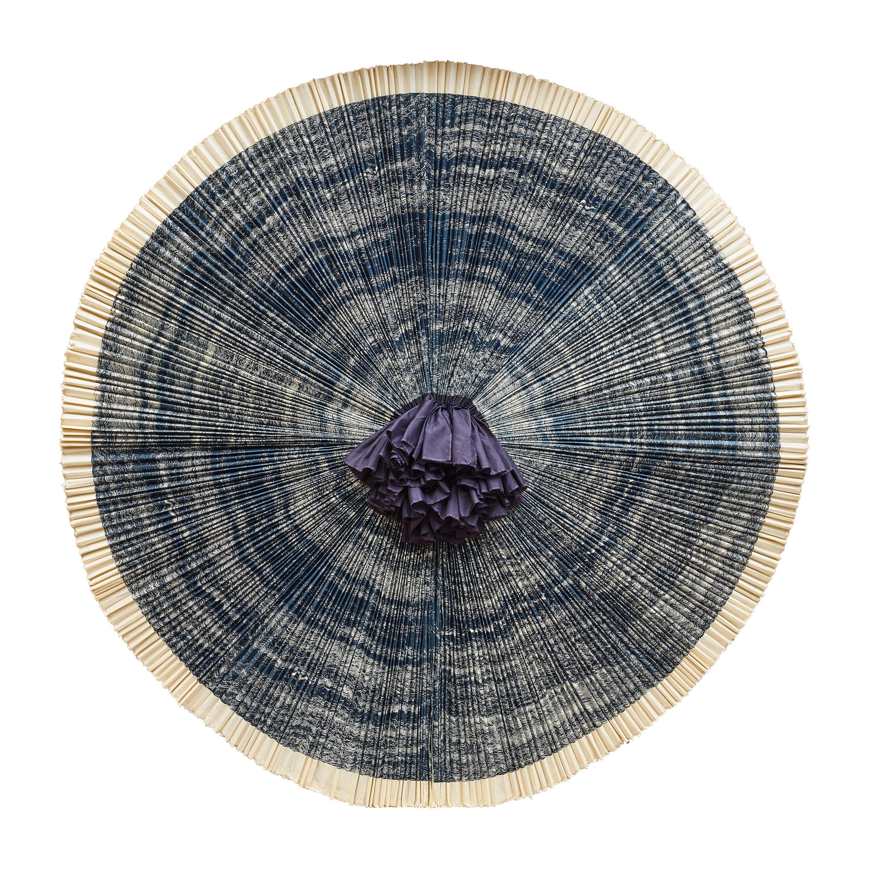 Ann Hamilton - ciliary