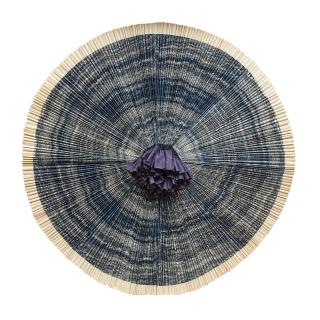 Ann Hamilton - ciliary