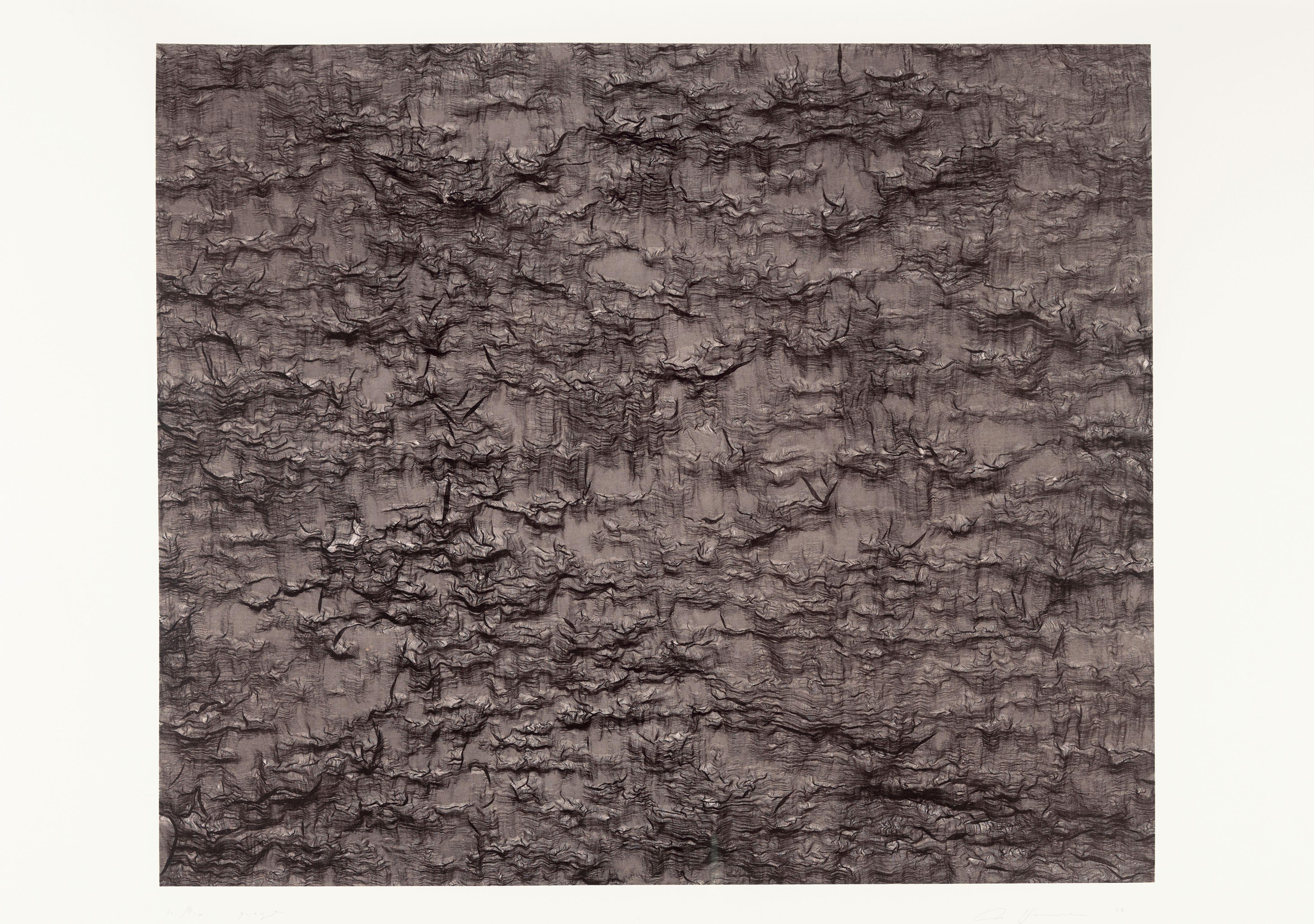 Ann Hamilton - Gauge (Brown)