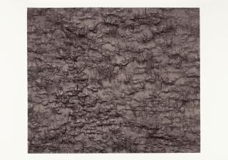 Ann Hamilton - Gauge (Brown)