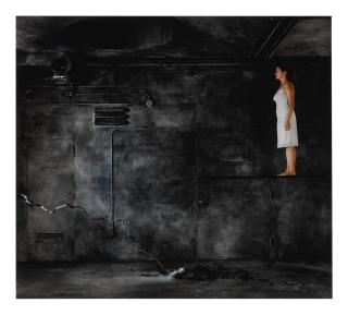 Ann Hamilton - In The Time It Takes To Fry A Locust