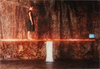 Ann Hamilton - The Choice A Salamander Gave To Hobson