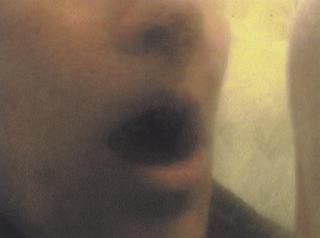 Ann Hamilton - [Untitled]