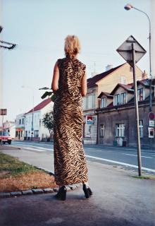 Ann-Sofi Sidén - Eva, Dubì