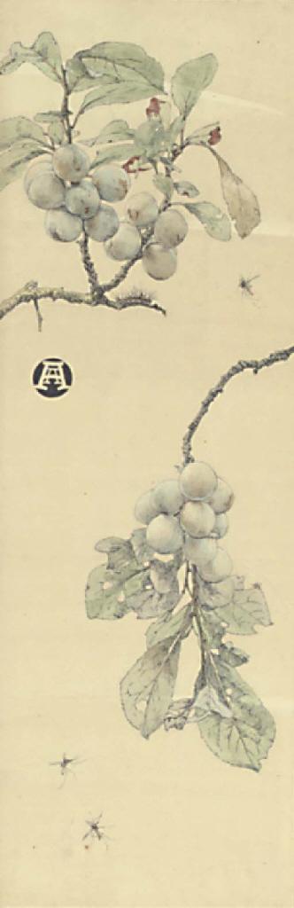 Anna Airy - Green Bullace