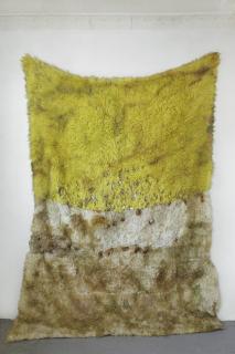 Anna Betbeze - Mimosa