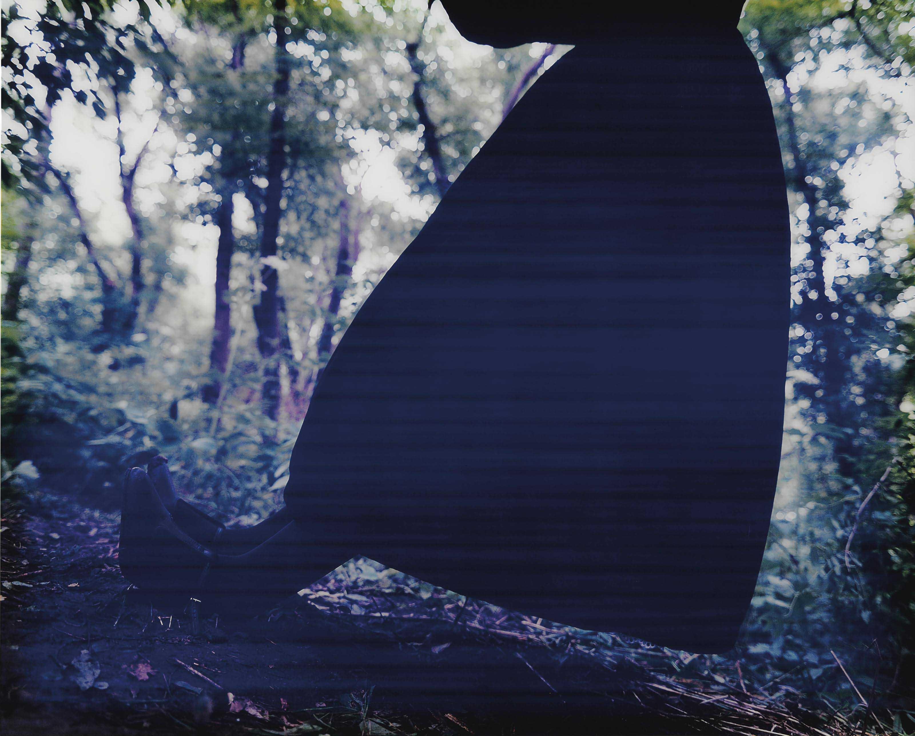 Anna Gaskell - Untitled #103 (A Short Story of Happenstance)