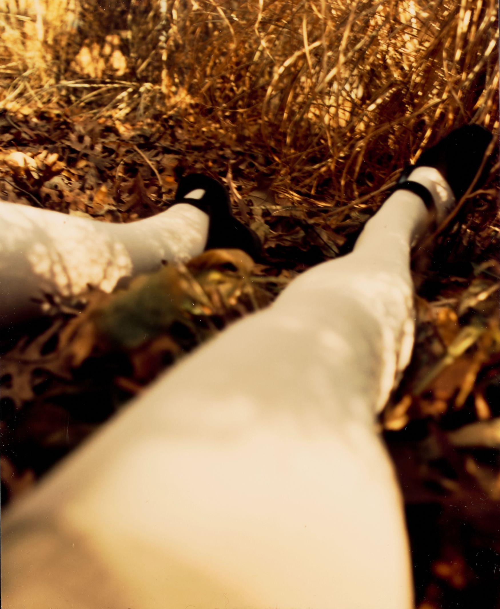 Anna Gaskell - Untitled #14 (Wonder)