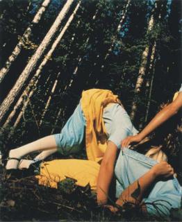 Anna Gaskell - Untitled #24 (Override)